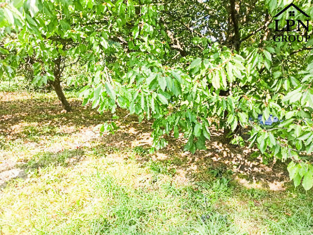 Działka Sprzedaż Sułków 3