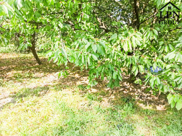Działka Sprzedaż Sułków
