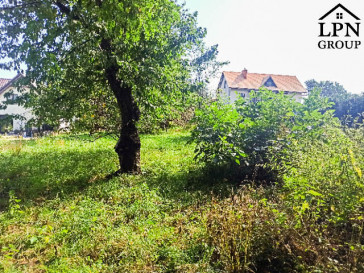 Działka Sprzedaż Sułków