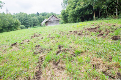 Działka Sprzedaż Krzywaczka