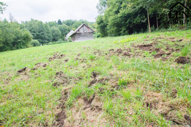 Działka Sprzedaż Krzywaczka 9